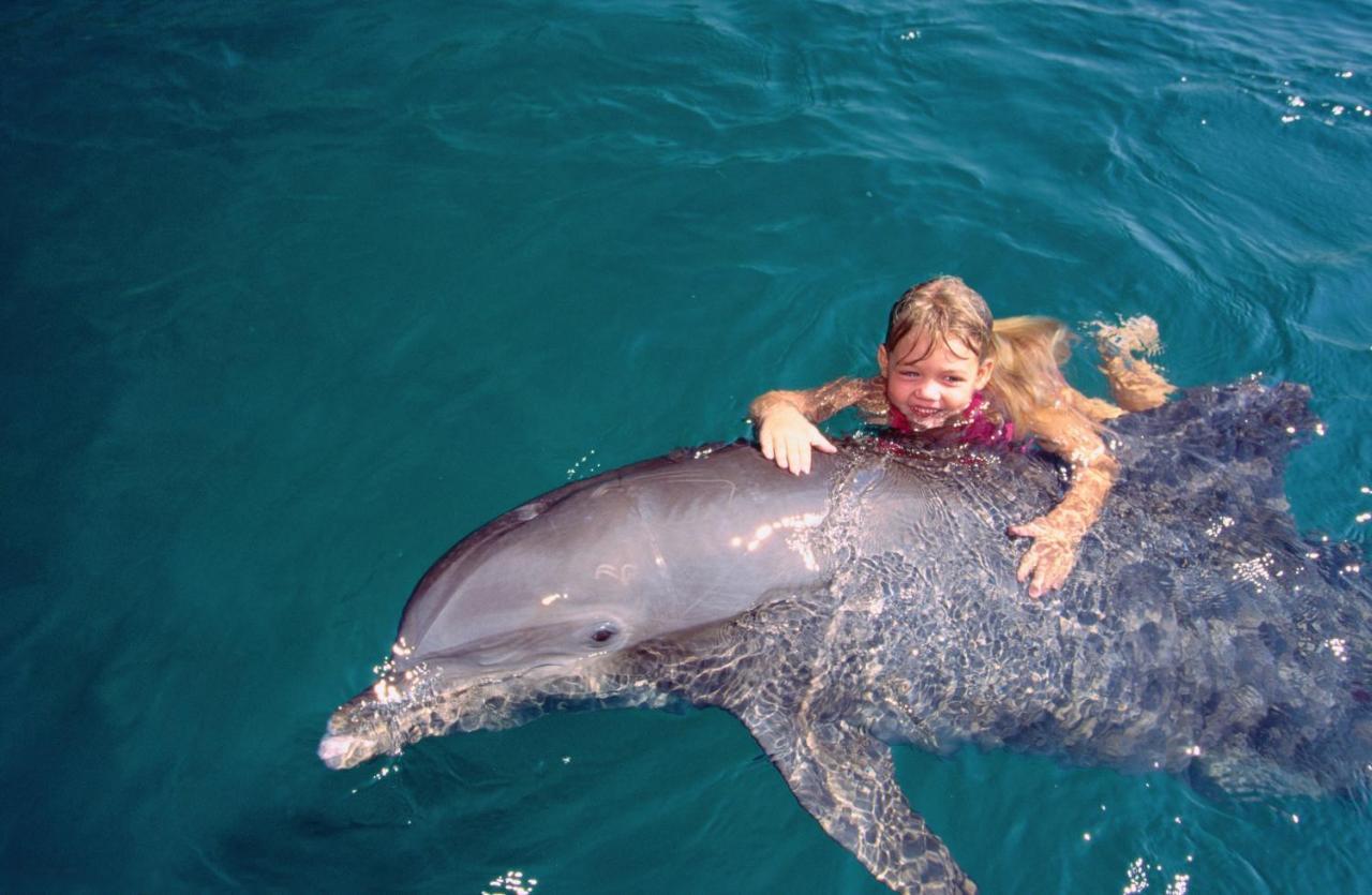 Vert Hotel Eilat By Afi Hotels Ngoại thất bức ảnh Dolphin and girl